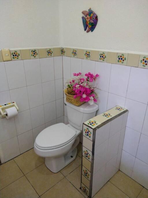 Lush Garden House Near Beaches With Private Pool. Puerto Escondido  Luaran gambar
